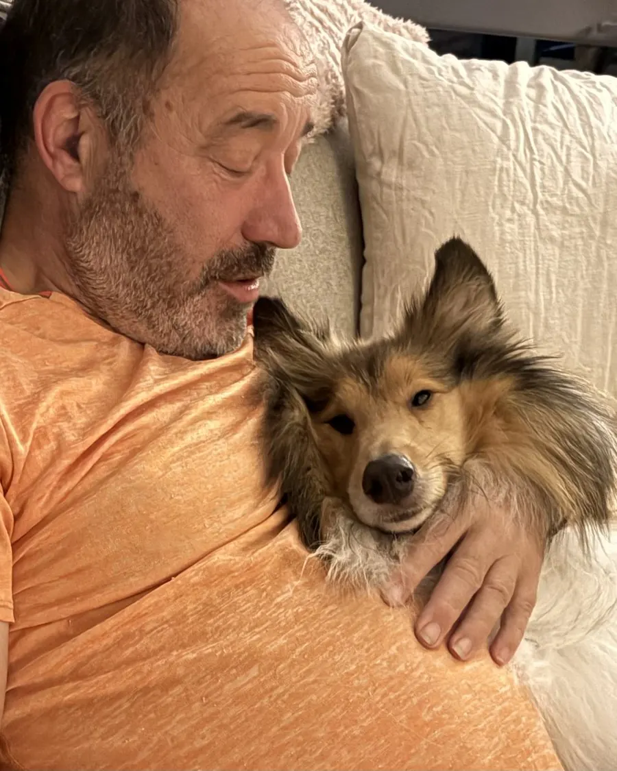 A sheltie resting close and content